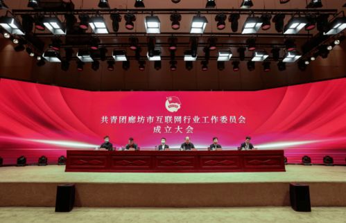 共青團廊坊市互聯網行業工作委員會正式成立，為本地企業網站建設注入青春動能